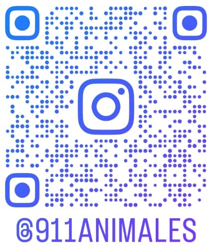 QR Instagram 911animales